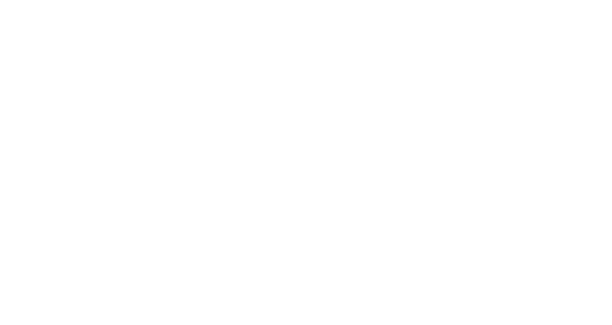 McCoy's Florida Honey Logo