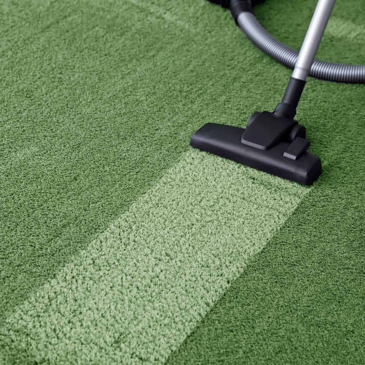 Vacuum cleaner cleaning a green carpet, showing a cleaned strip.