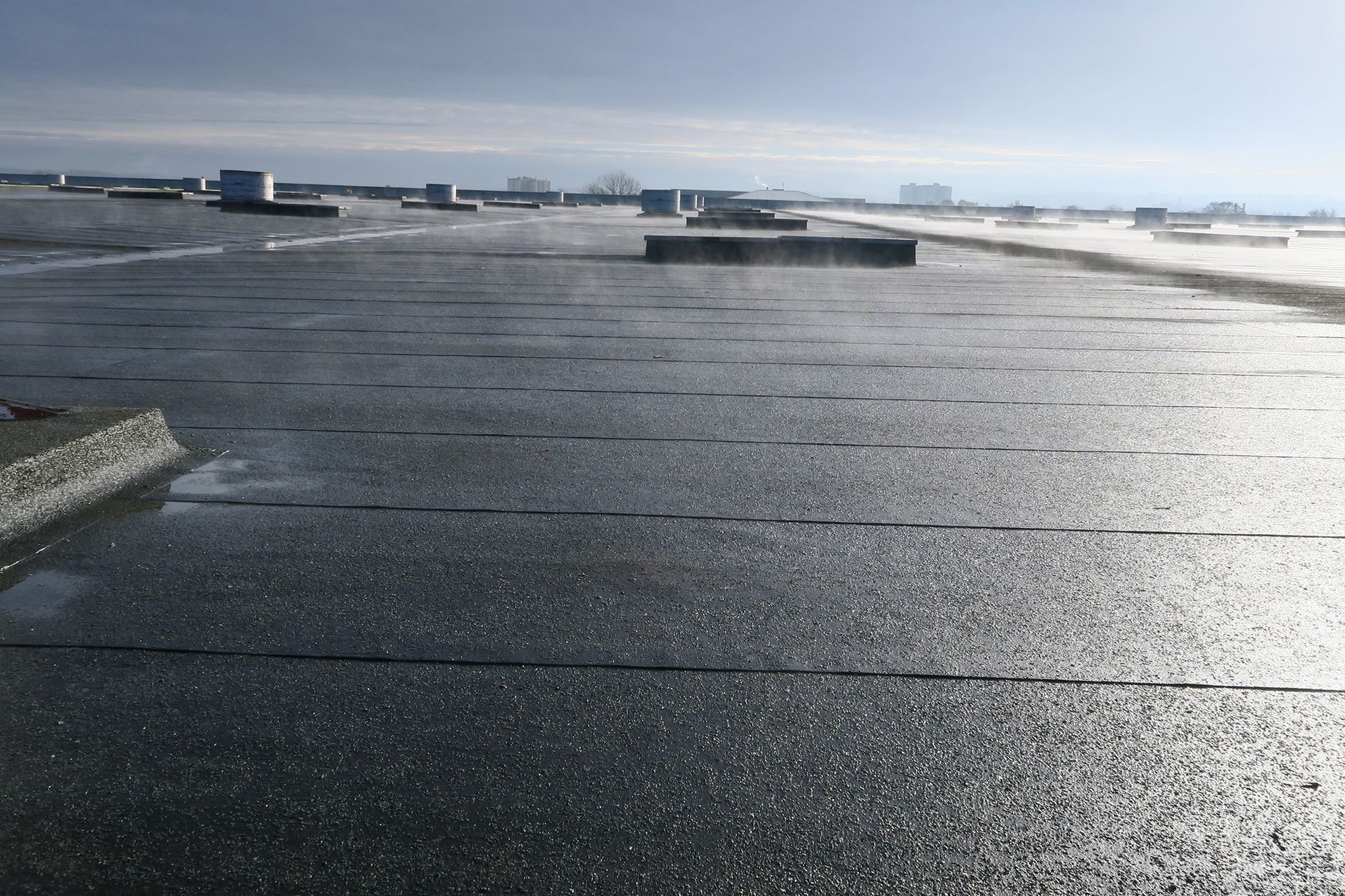 Wet, flat roof with scattered dark vents under a cloudy sky.