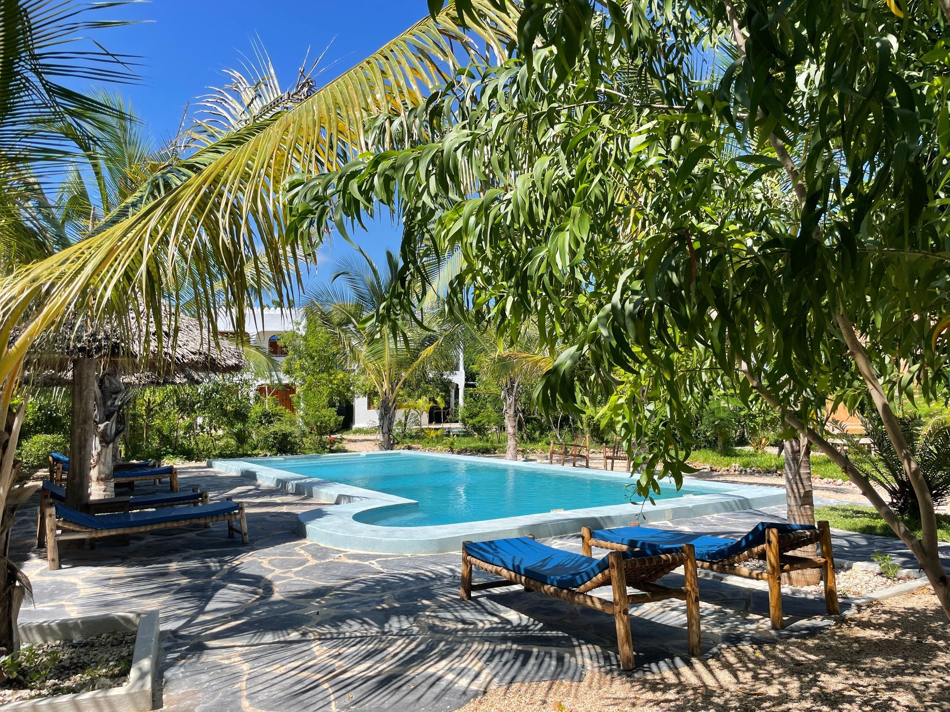 A large swimming pool surrounded by palm trees and chairs.
