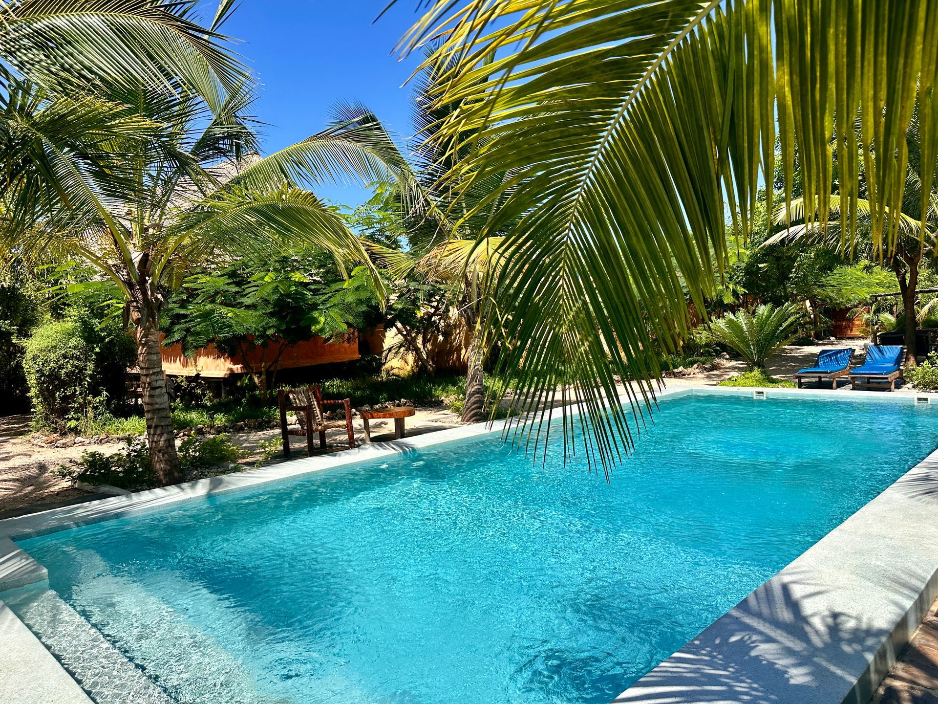 A large swimming pool surrounded by palm trees on a sunny day