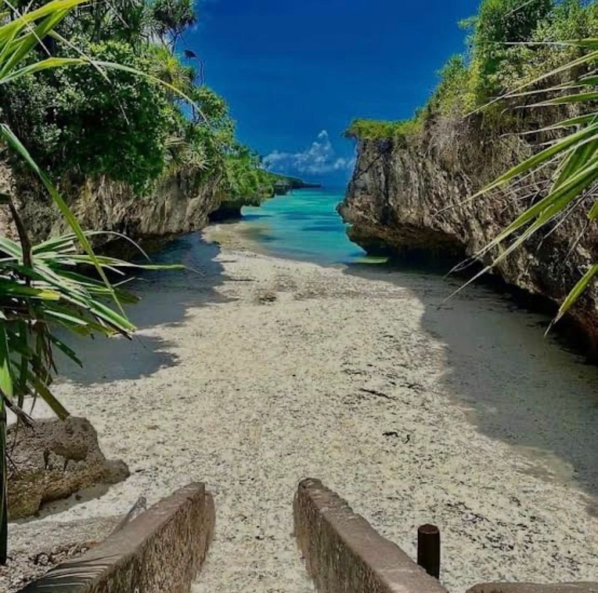 A sandy beach surrounded by rocks and trees