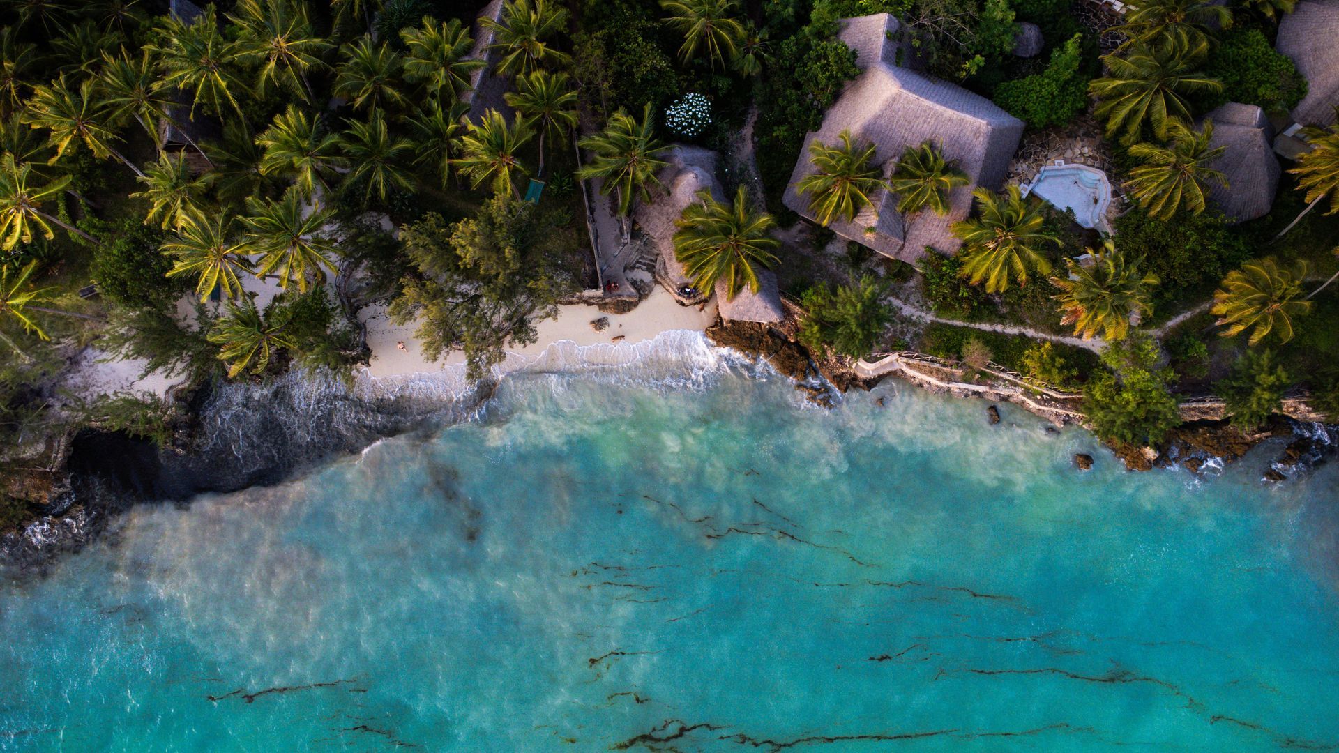 Aerial view of tropical beach with turquoise water, palm trees, and thatched roof buildings.