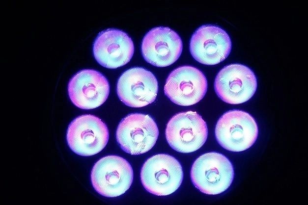 Decorative luminaires — San Diego, CA — White Horse Electric