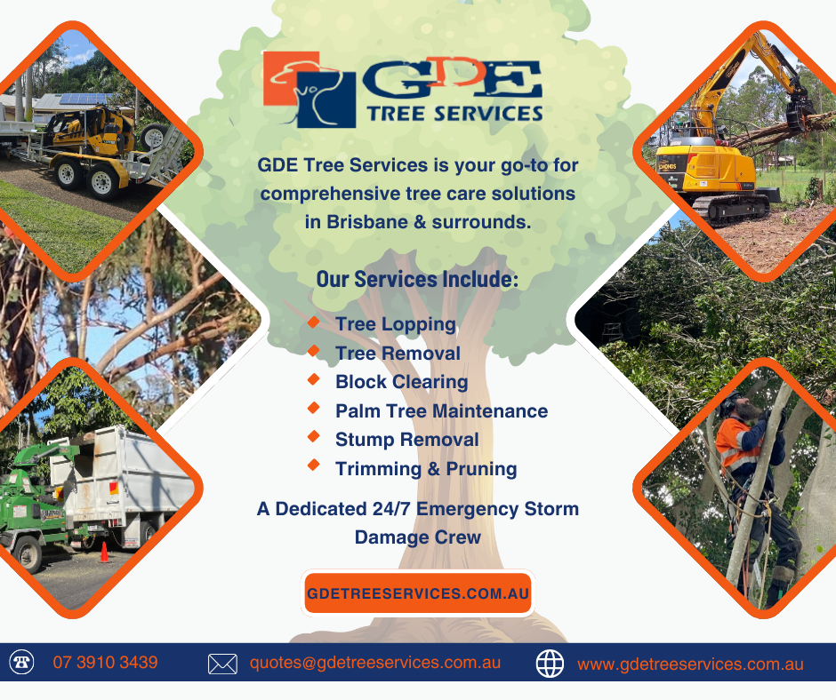 Tree Lopping Services Brisbane Tree Lopping services Brisbane