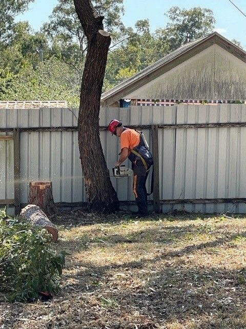Tree Services Brisbane
