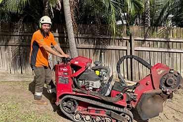 Stump removal
