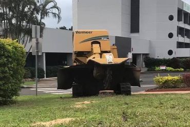 stump grinding services