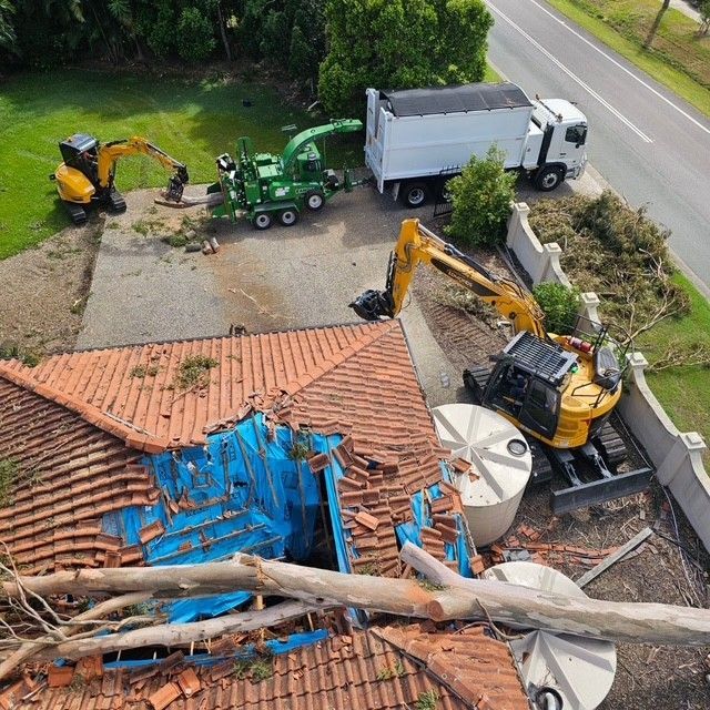Ipswich Tree Loppers
