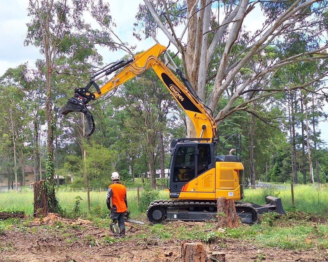 GDE Tree Services completing professional tree felling in Brisbane