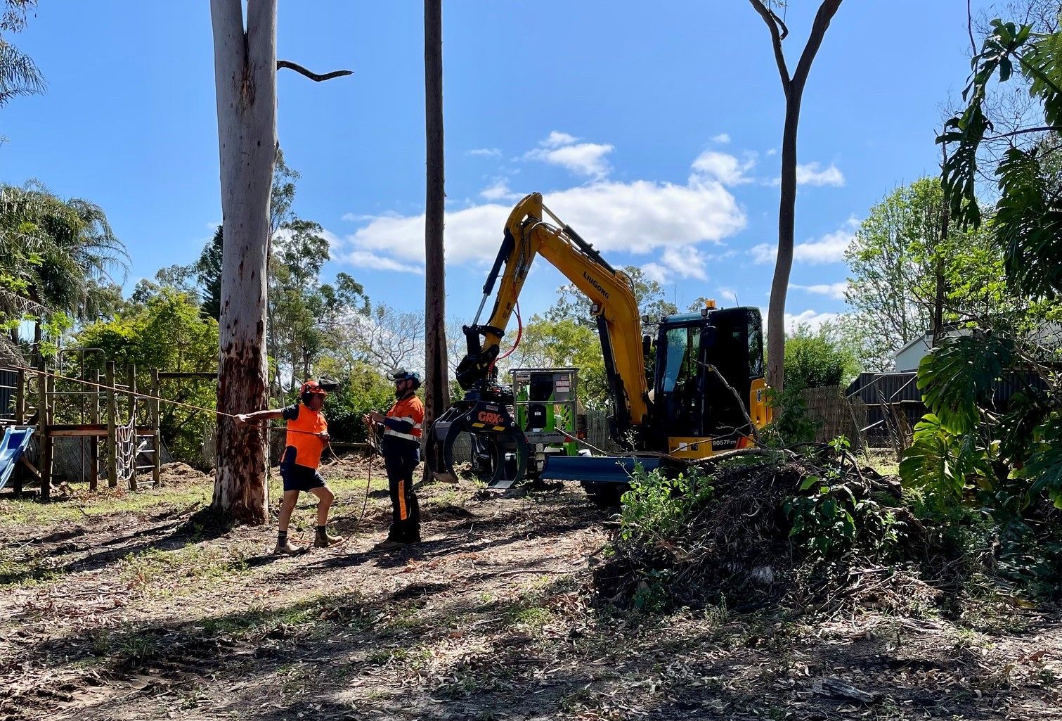 GDE tree loppers working on a Brisbane property