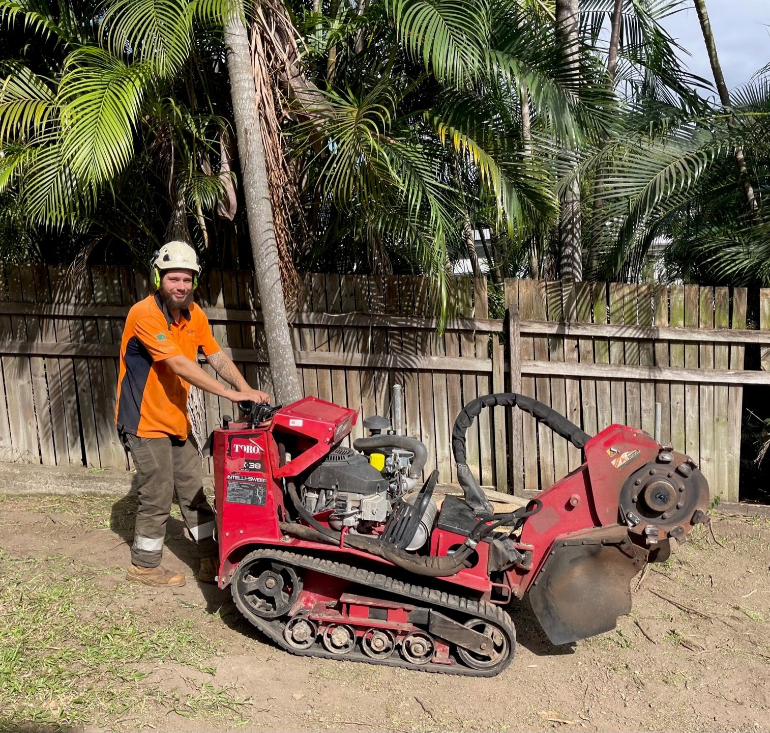 Tree Lopping Services & Tree Loppers Brisbane | GDE Tree Services