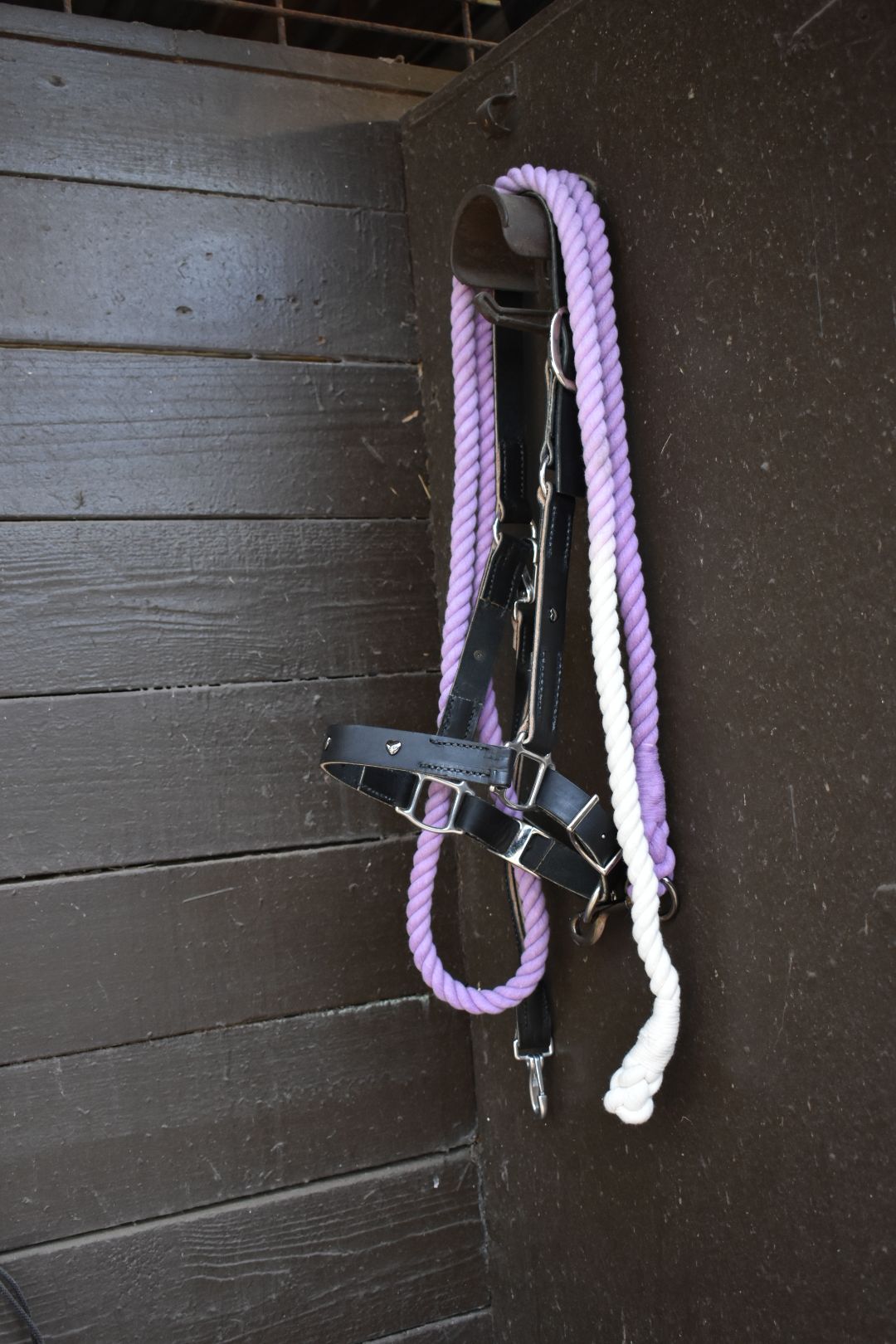 Leather Halter