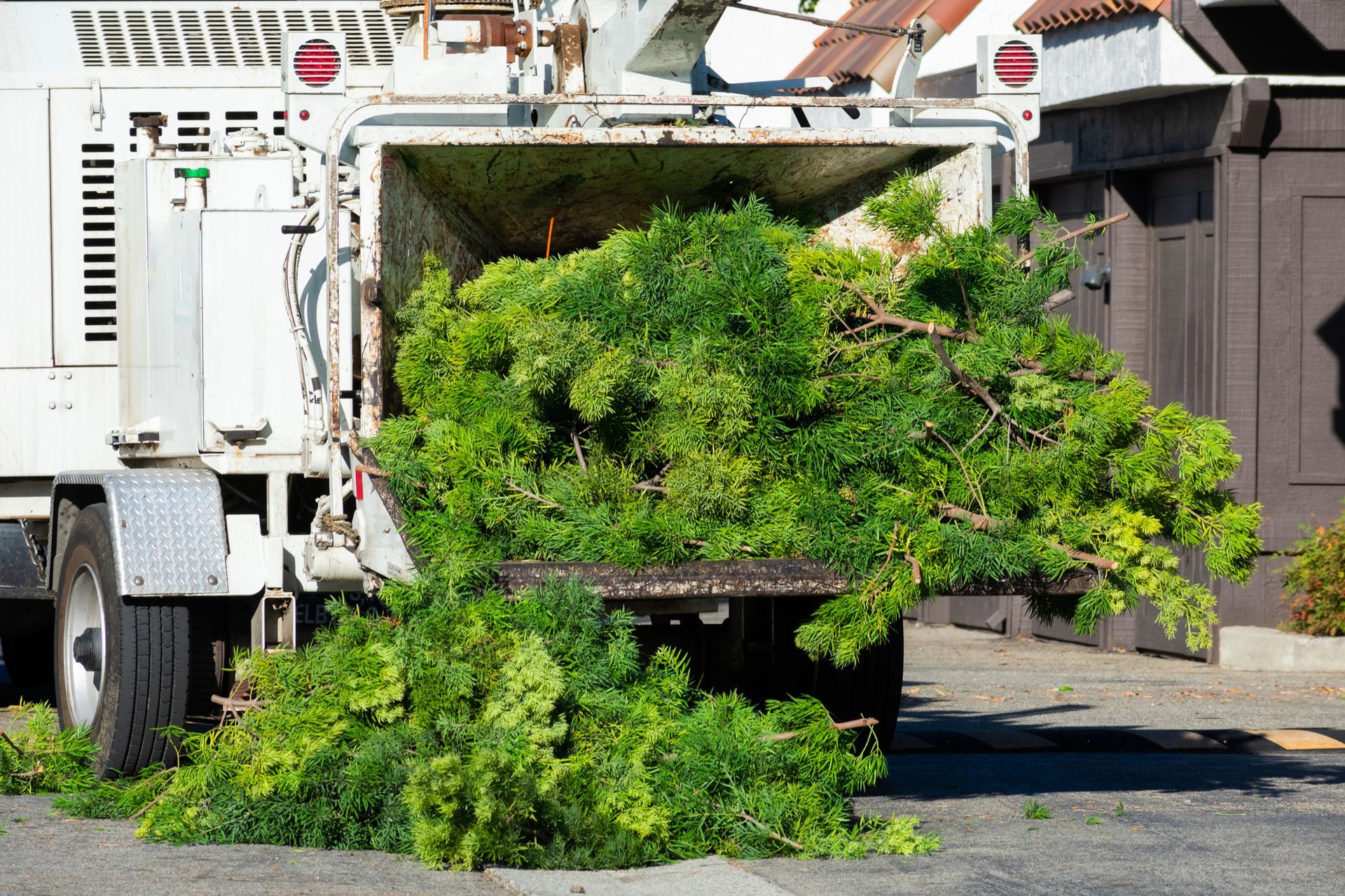 Tree Removal in Leonia, NJ Tree Removal in Leonia, NJ