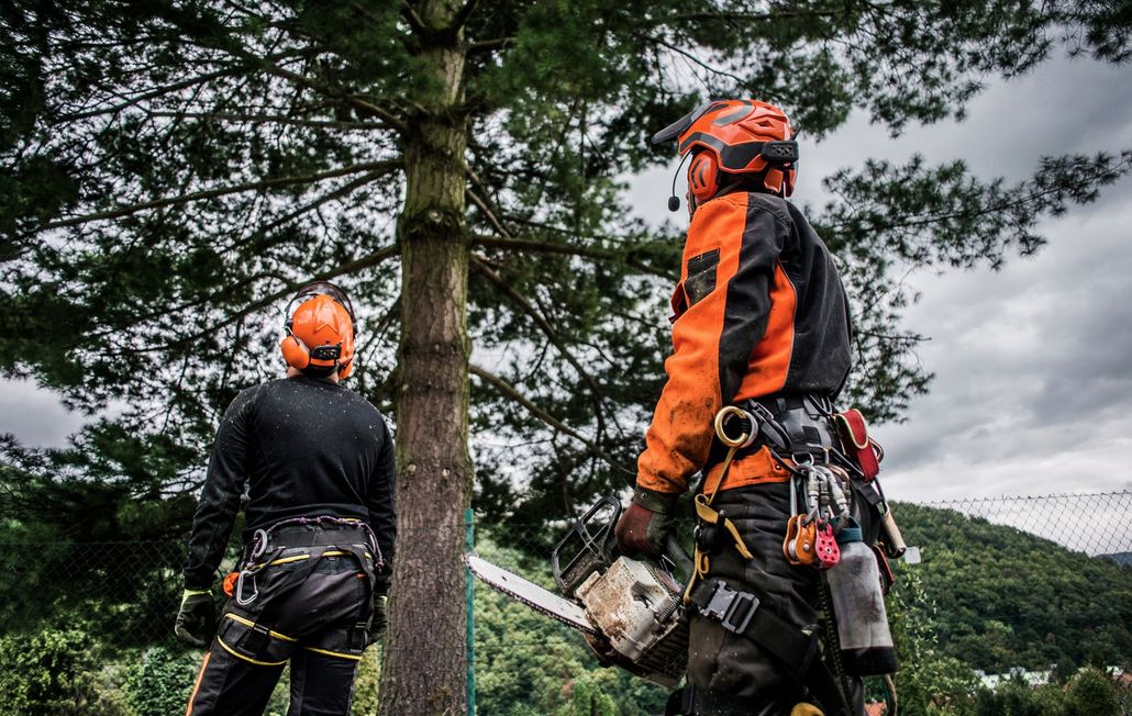 About Cherokee Tree Service of New Jersey About Cherokee Tree Service of New Jersey