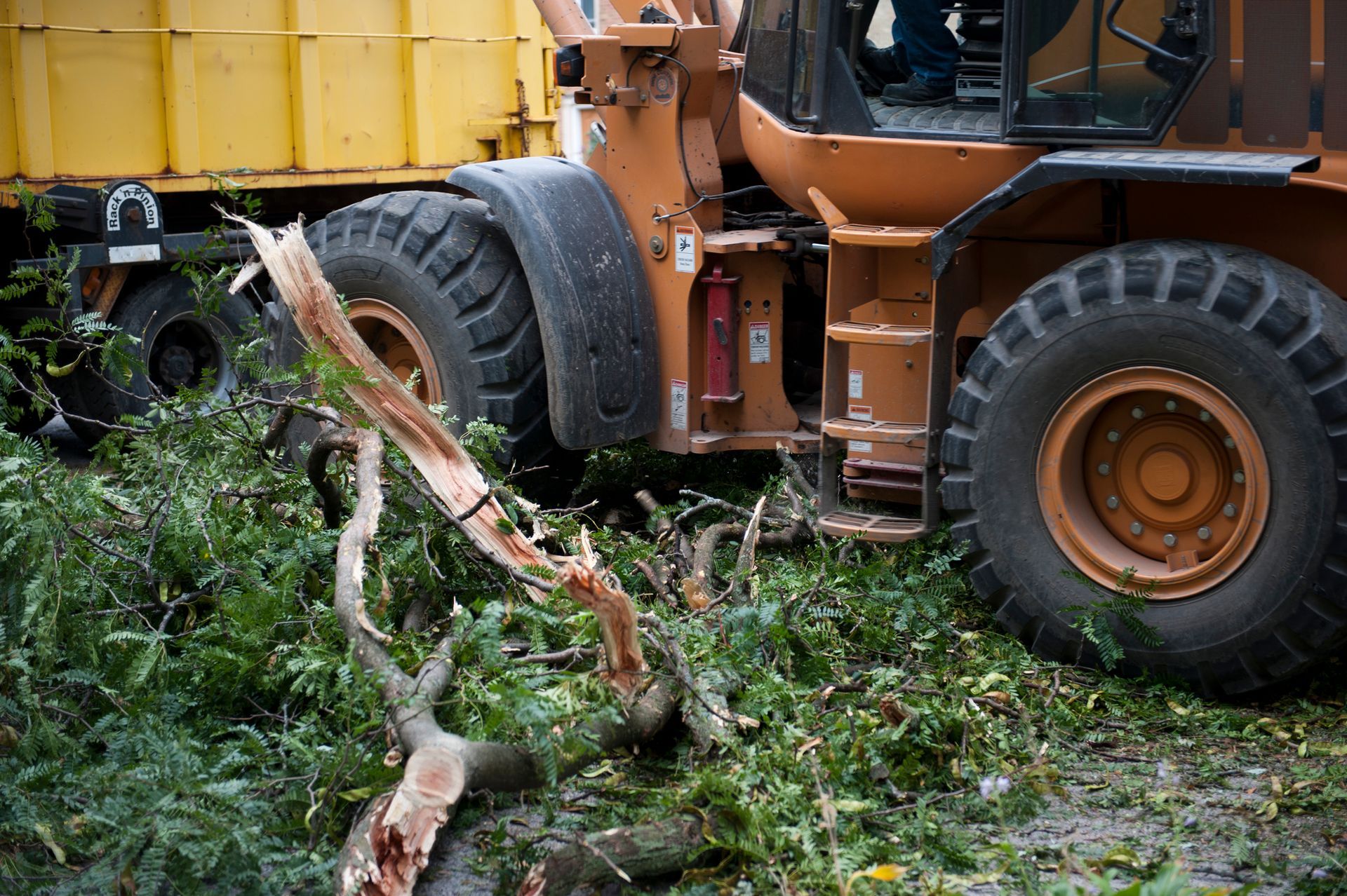 Tree Cutting in Leonia, NJ Tree Cutting in Leonia, NJ