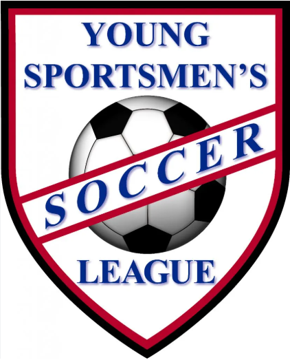 Logo: soccer ball with 