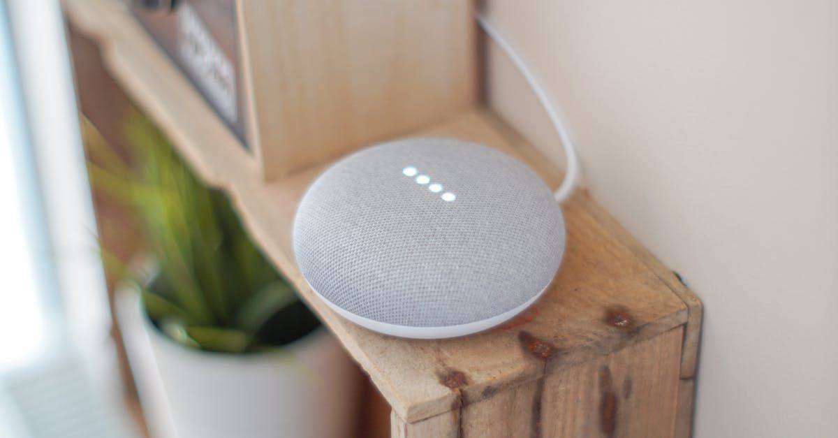 A small white speaker is sitting on top of a wooden shelf next to a potted plant.