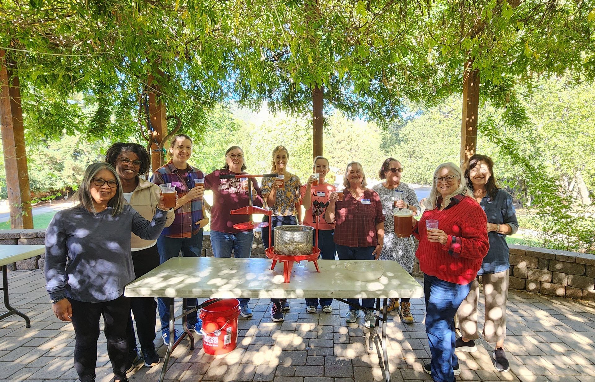 Group of people toasting drinks at an outdoor gathering, under a canopy of trees.