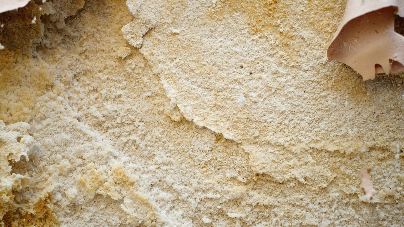 Textured, tan and cream-colored rock formation with some organic reddish-brown edges.
