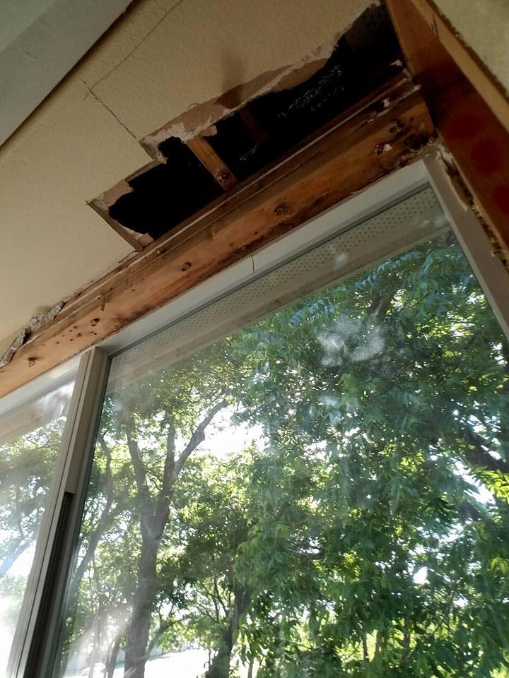 A window with a hole in the ceiling and trees in the background.