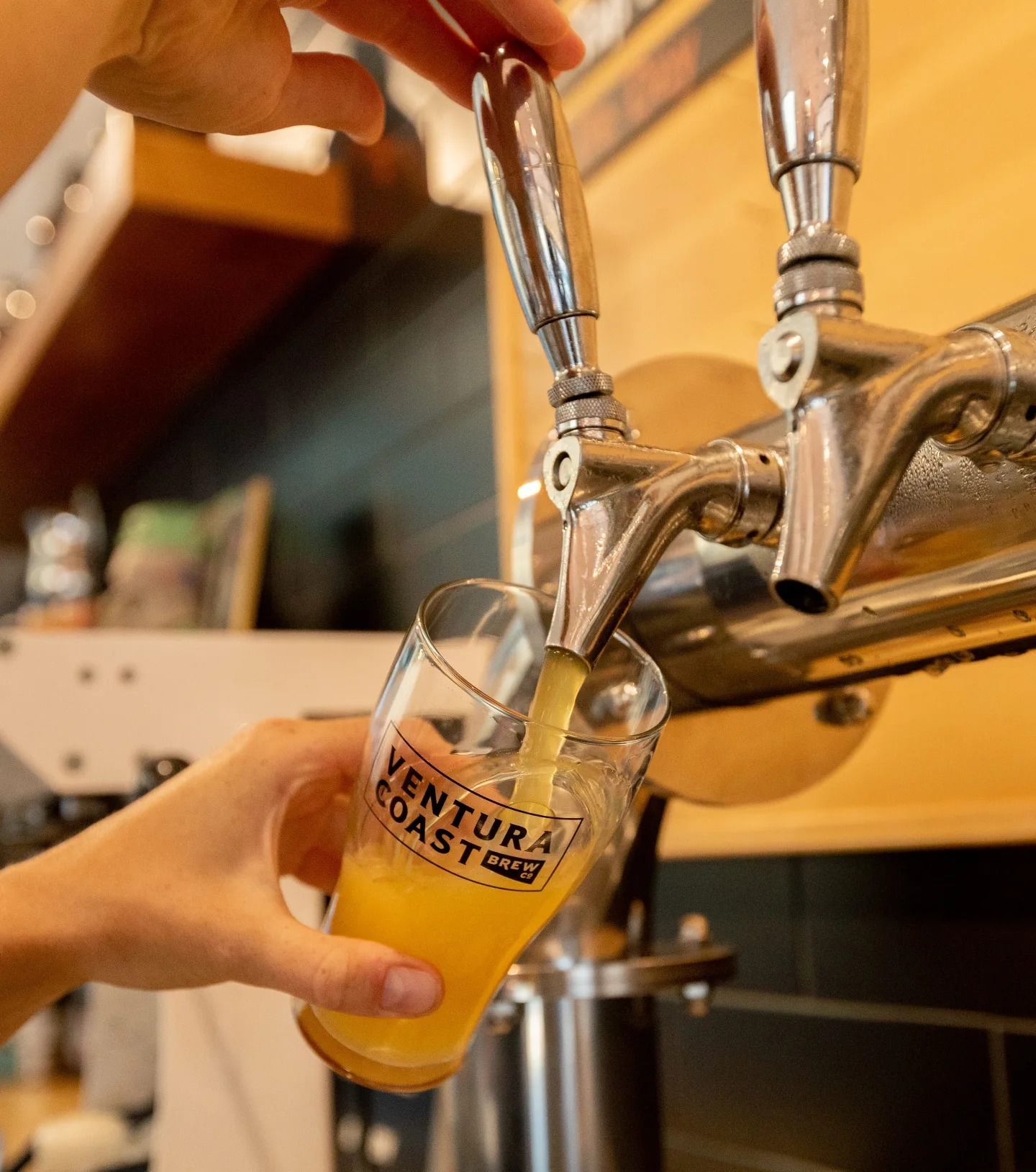 Ventura Coast Brew Co beer being poured from tap into glass.