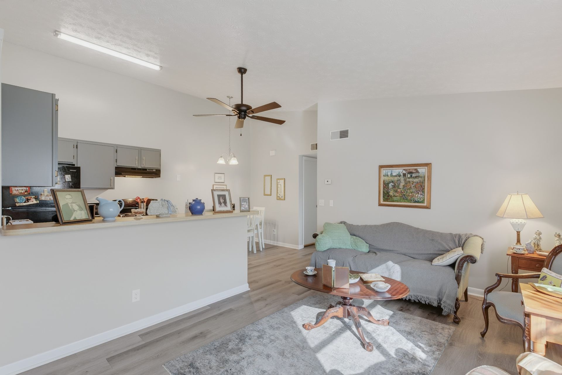 Bright living room with gray sofa, ceiling fan, kitchen counter, and sunlight on a rug