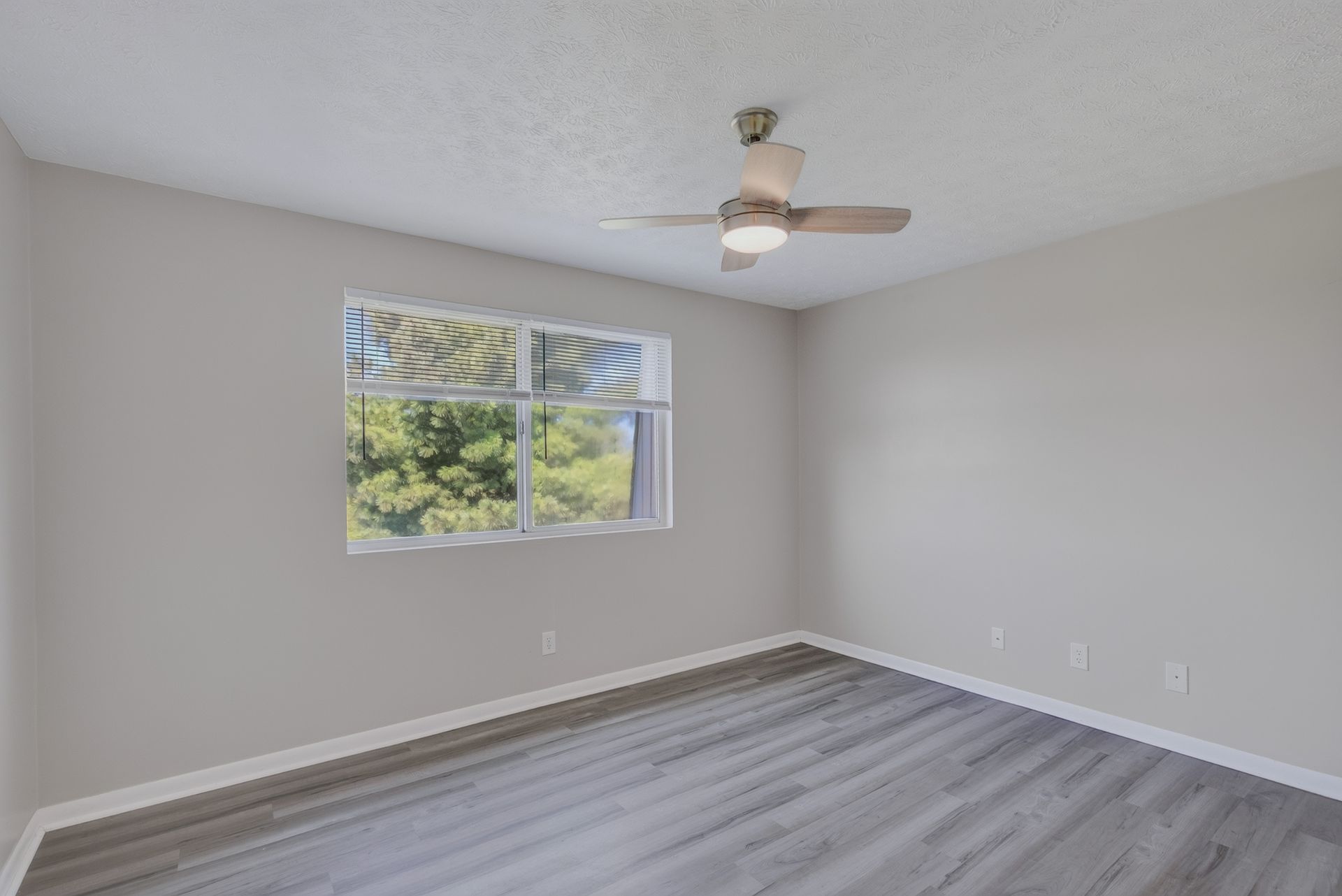 Empty bedroom with gray walls, light wood flooring, a window, and a ceiling fan.