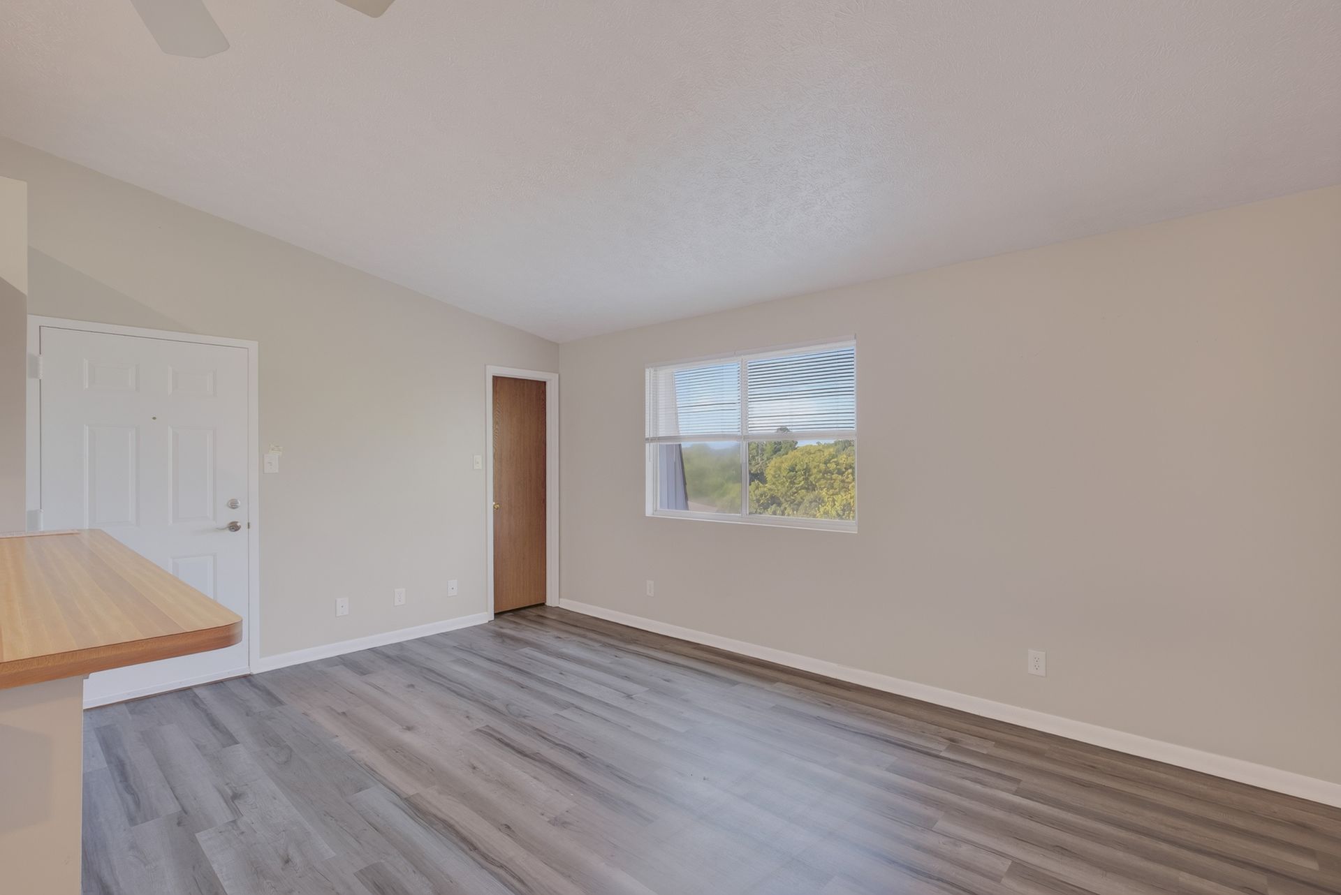 Empty beige room with gray wood flooring, closet doors, a window, and an open doorway
