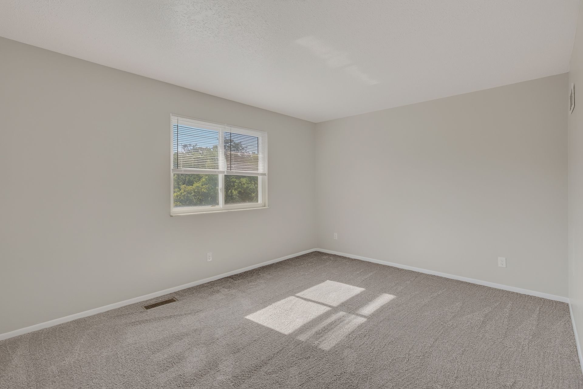 Empty carpeted bedroom with gray walls and a window letting in sunlight