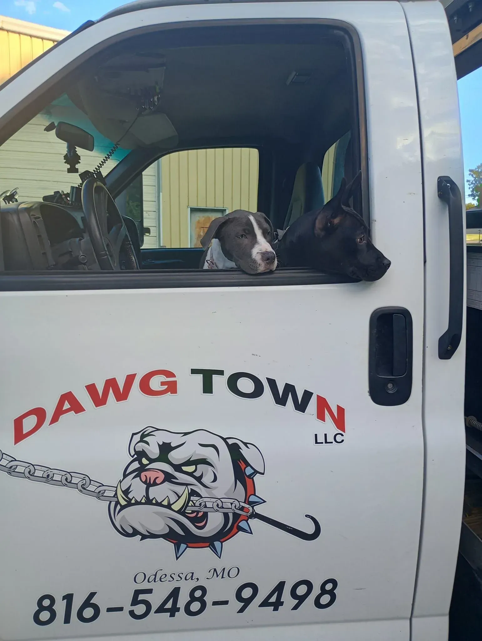 Dog looking out the window of a white DAWG TOWN LLC tow truck with phone number 816-548-9498.