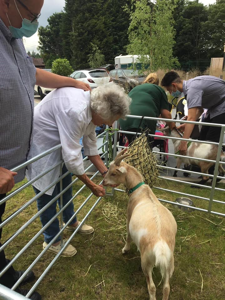 A woman is feeding a goat through a fence.