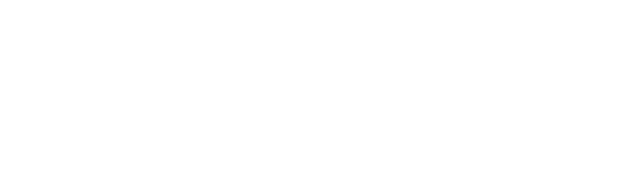 Black Tulip Landscaping Inc.