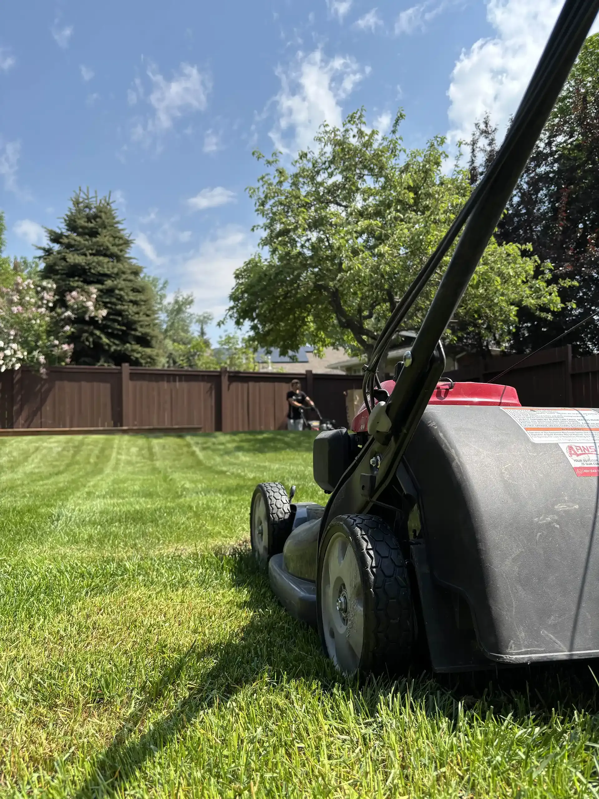 Lawnmower cutting green grass on a sunny day; brown fence and trees in the background.