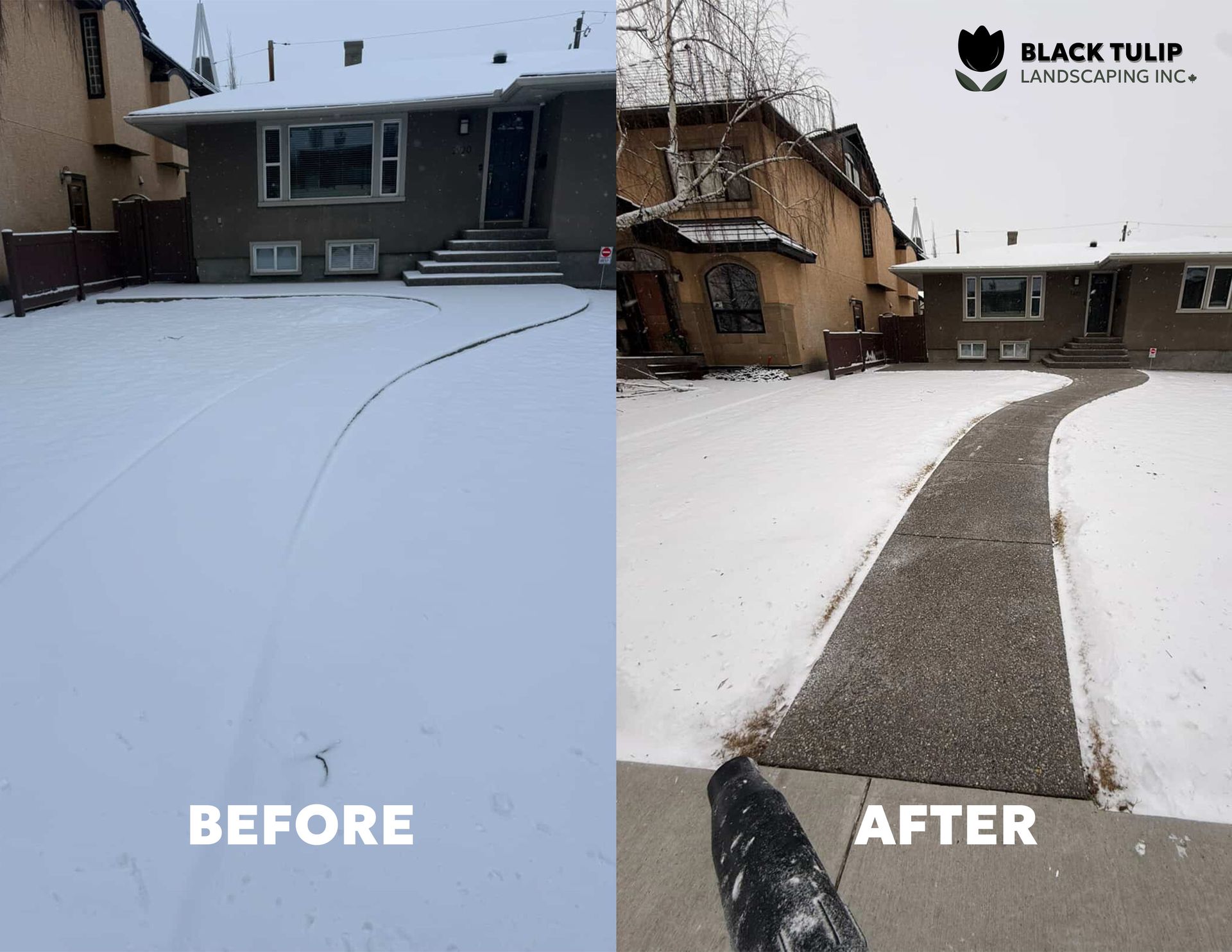 Before and after: snowy yard and walkway cleared with a leaf blower.