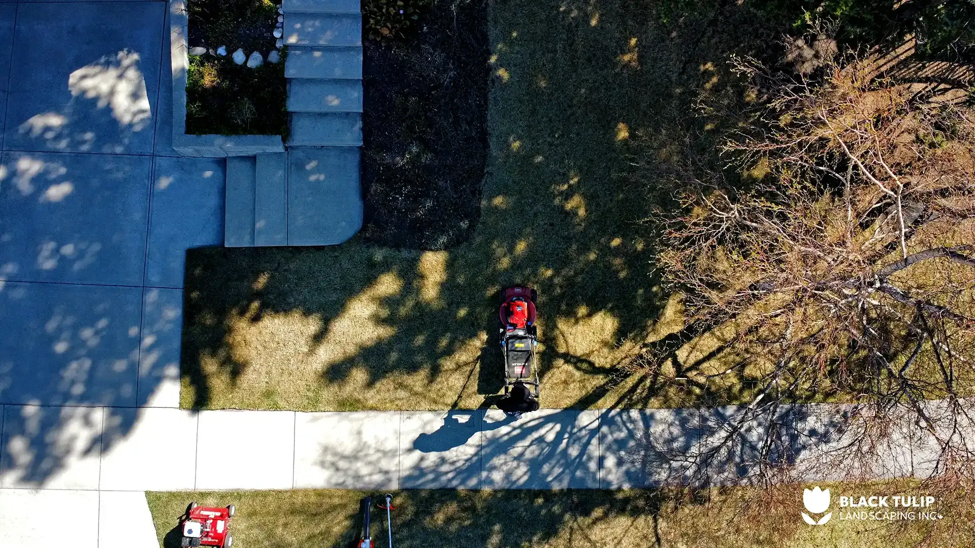 Aerial view of a person mowing a lawn with a red mower on a sunny day, with tree shadows.