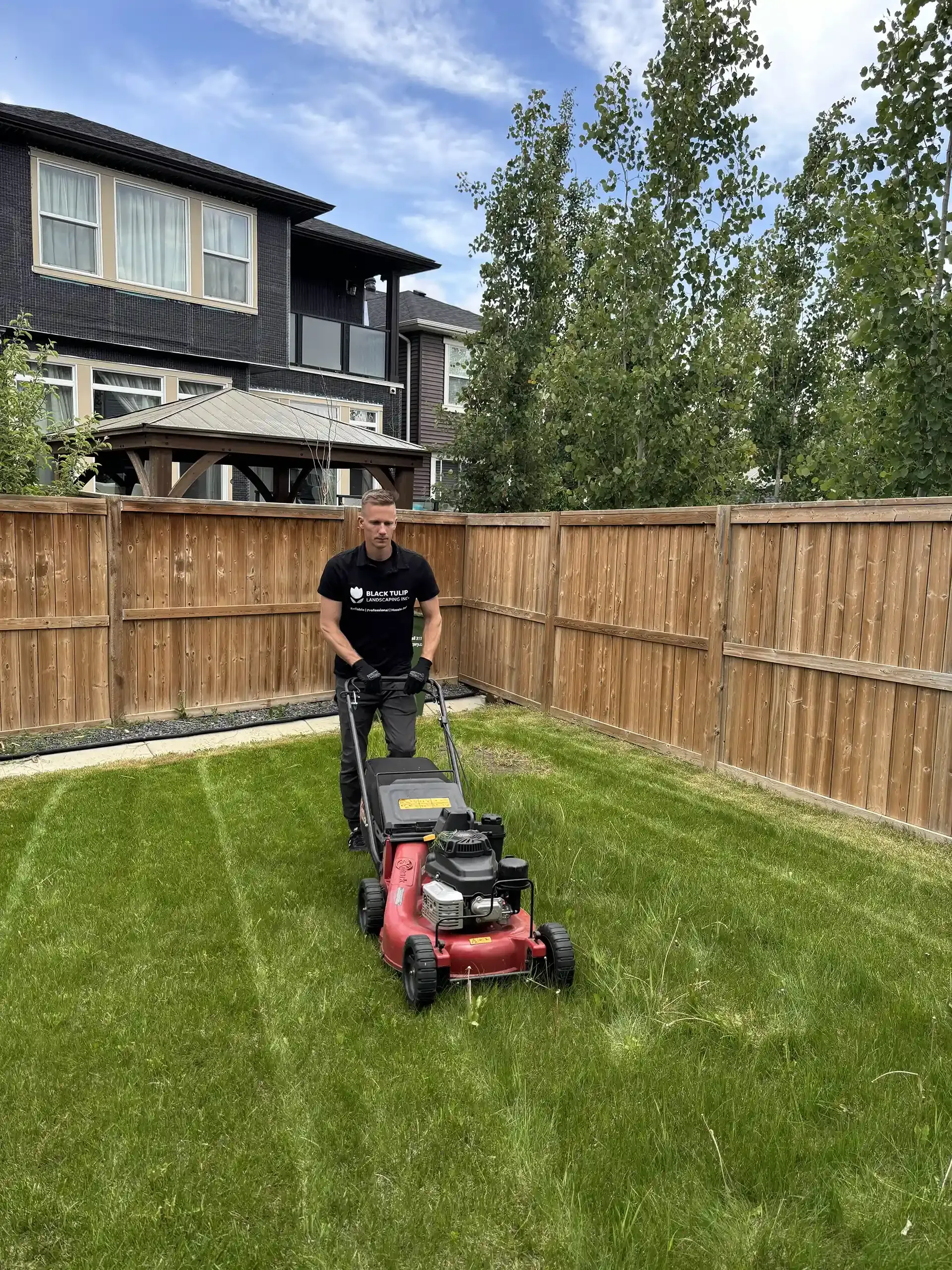 A man mows a green lawn with a red lawnmower in a backyard with a wooden fence and a two-story house.