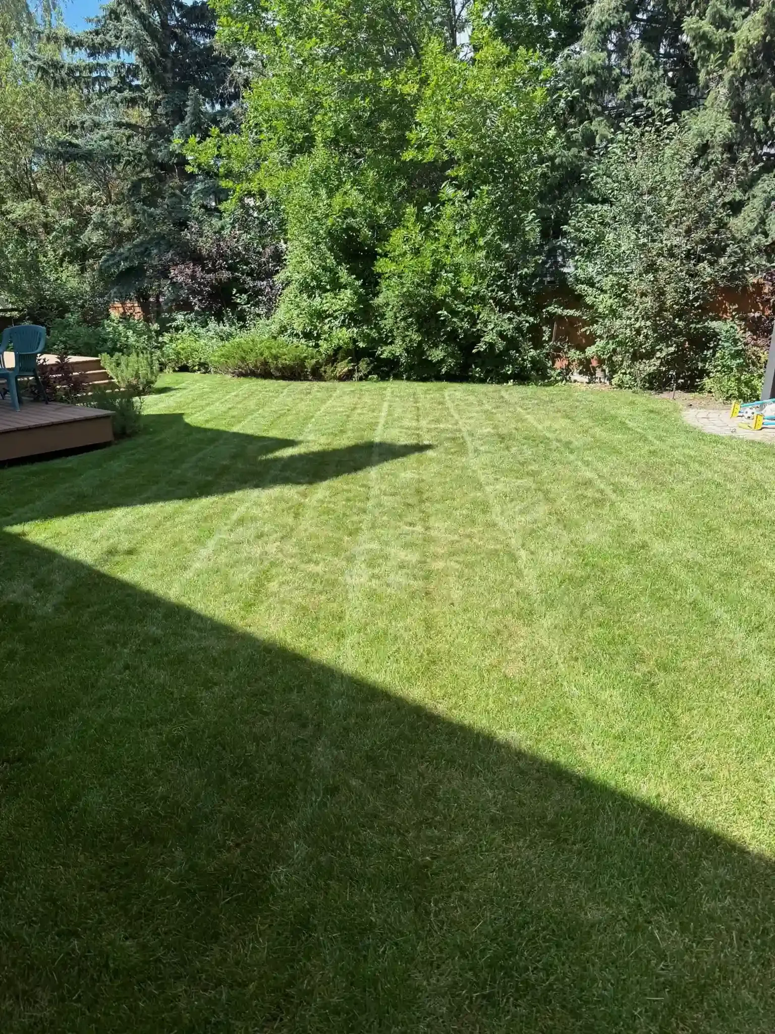 Green backyard with a freshly mowed lawn, trees in the background, and shadows from the sun.
