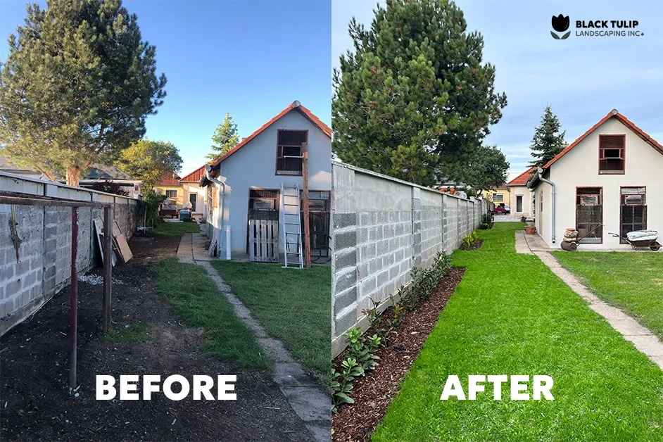 Comparison of a backyard before and after landscaping.