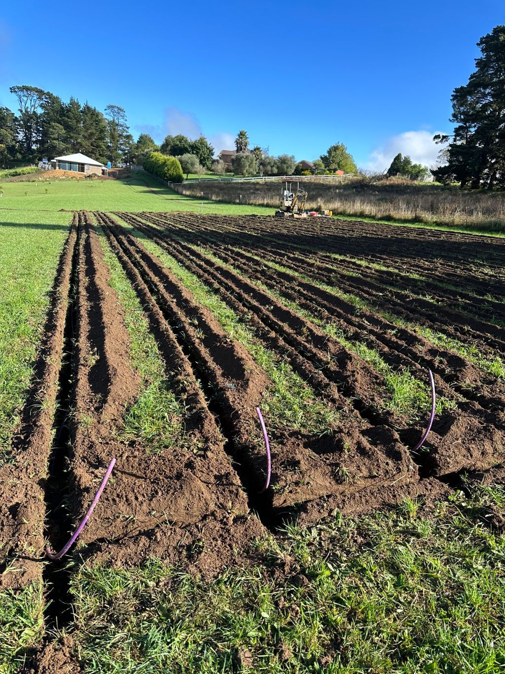 Beaconsfield — Wastewater Management in the Southern Highlands, NSW