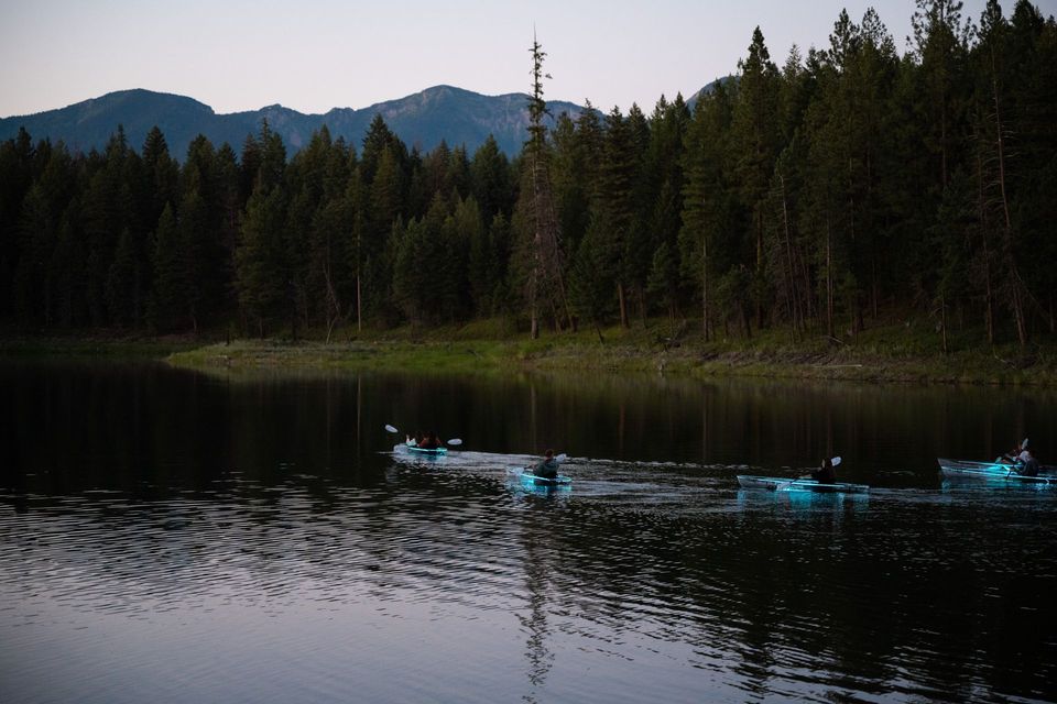 Kayakers paddle across calm water beside a forested Montana shoreline and mountains.