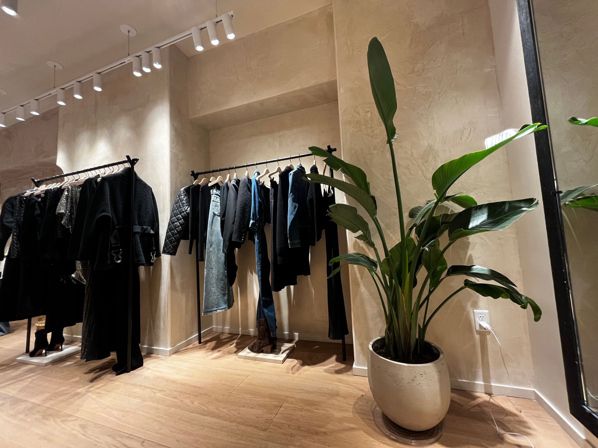 Boutique clothing store with black garments on racks and a tall potted plant beside a mirror-wall.