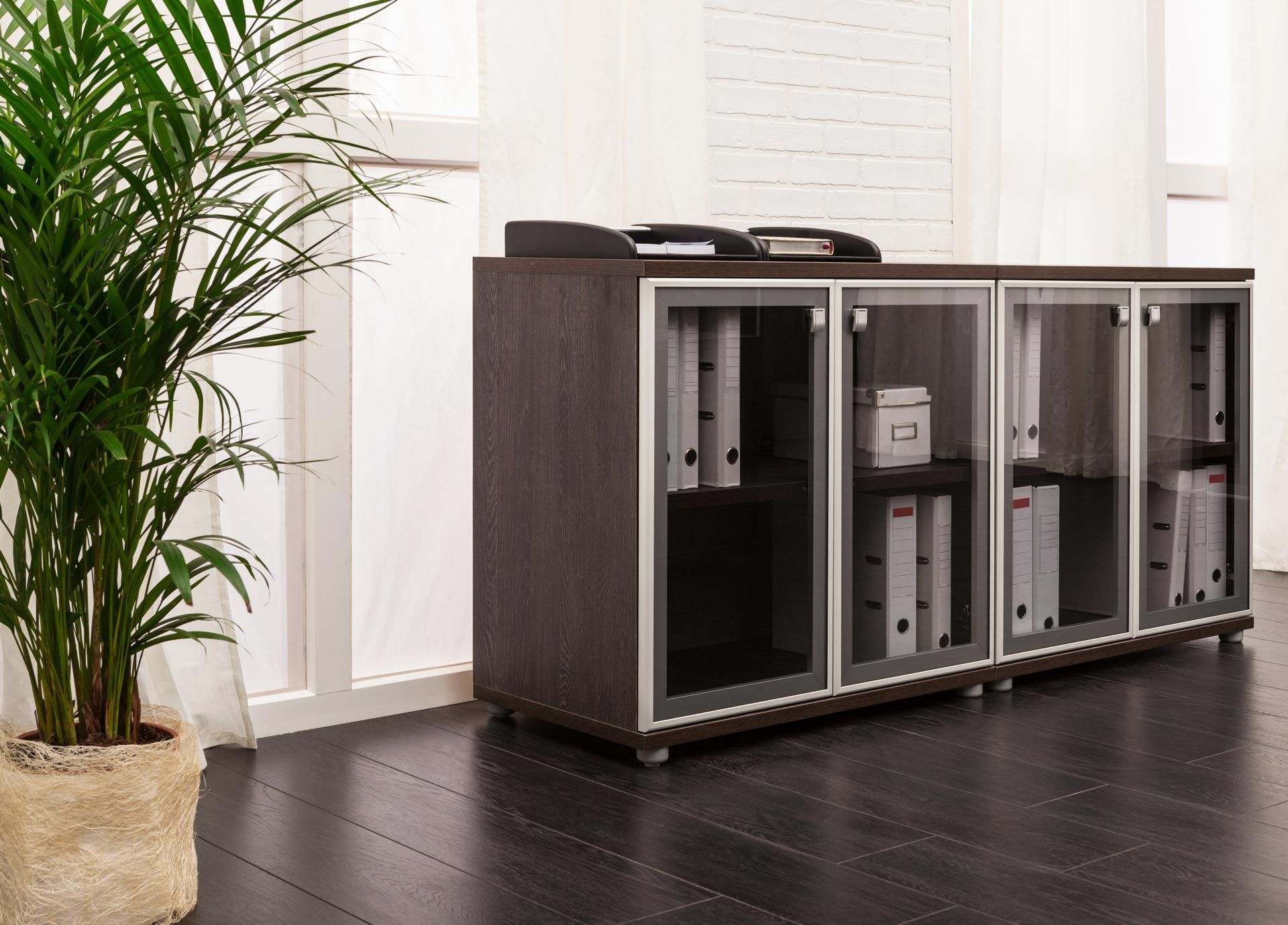 Modern wooden cabinet with glass doors in a bright room beside a potted palm