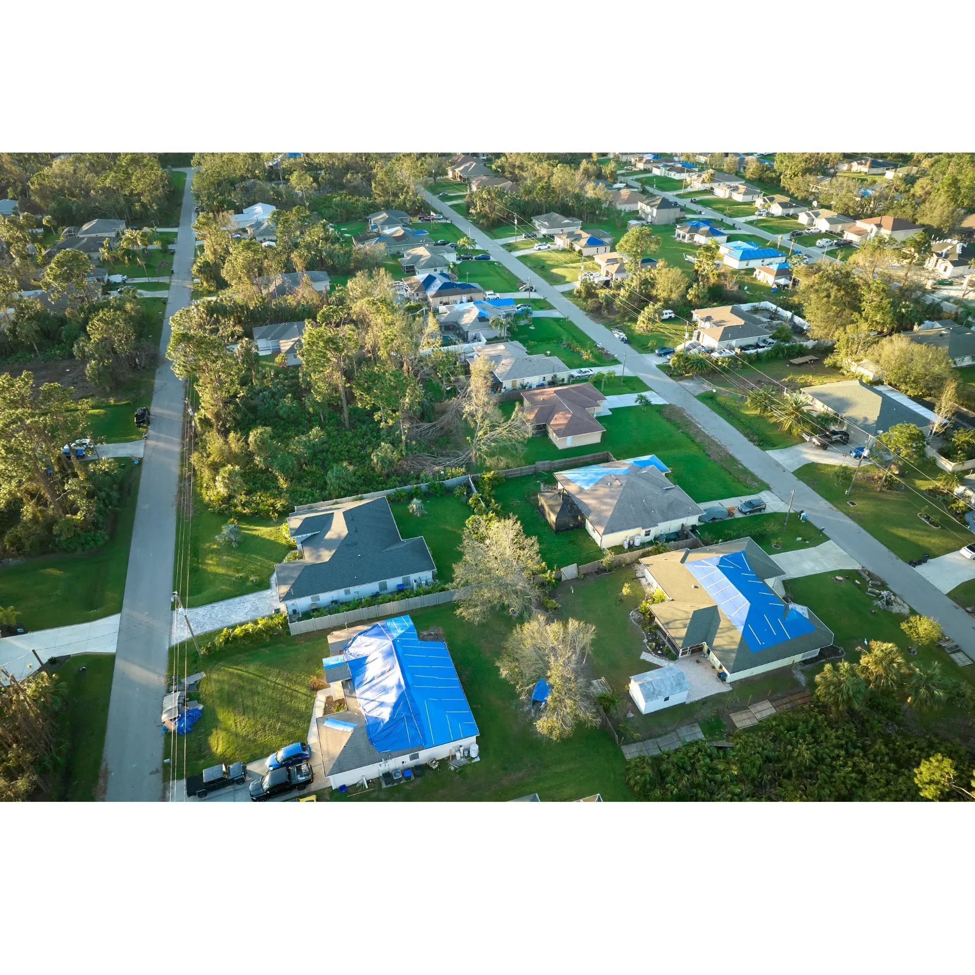 Aerial view of a suburban neighborhood with houses, streets, and trees in warm sunlight