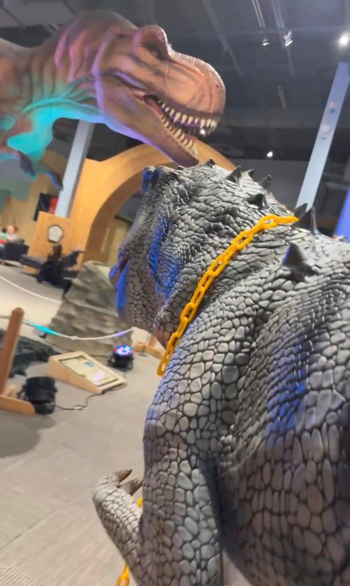 Person in a dinosaur exhibit facing a large T. rex model in a museum display.