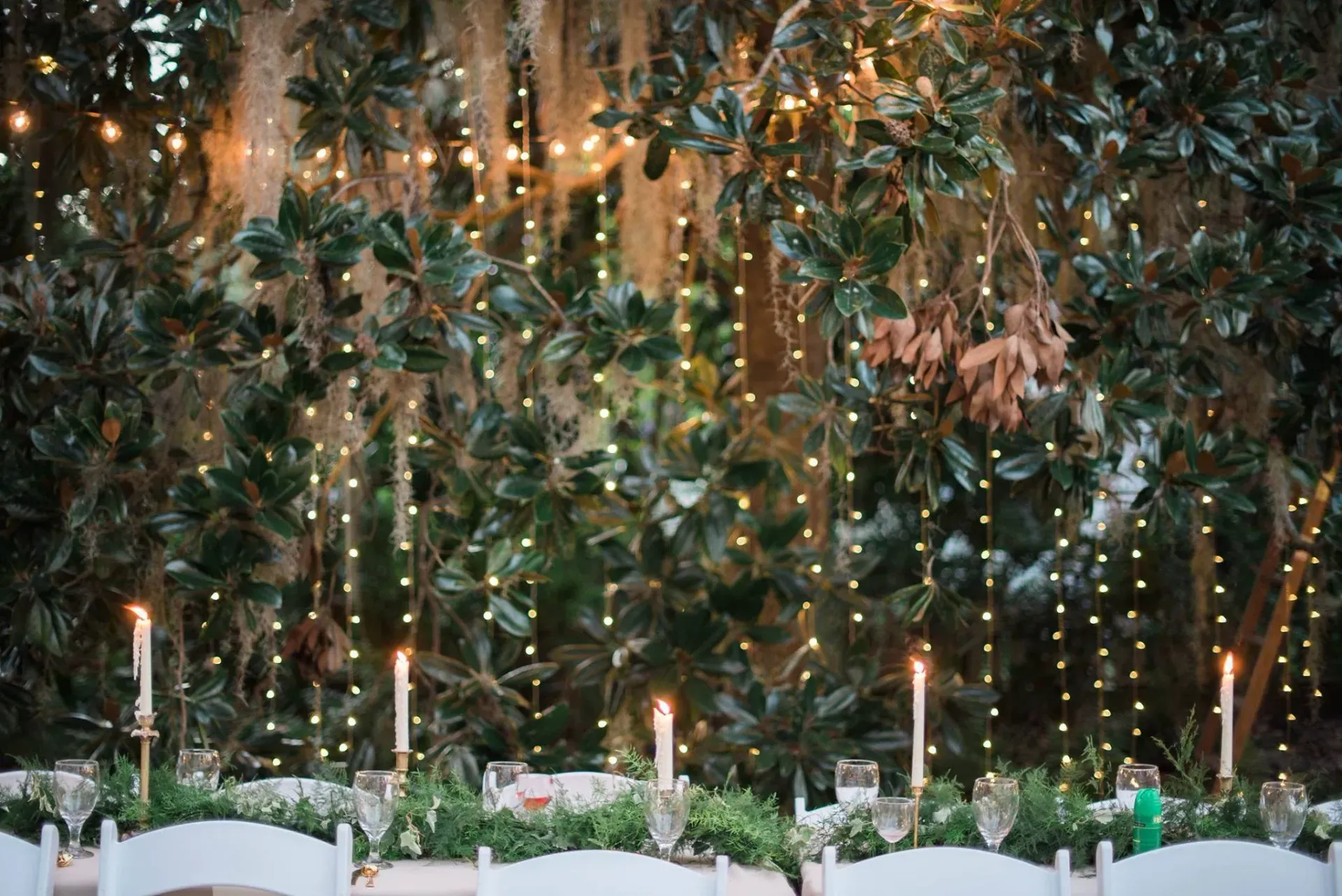 Elegant outdoor dining setup with candlelit tables beneath lush hanging greenery and string lights