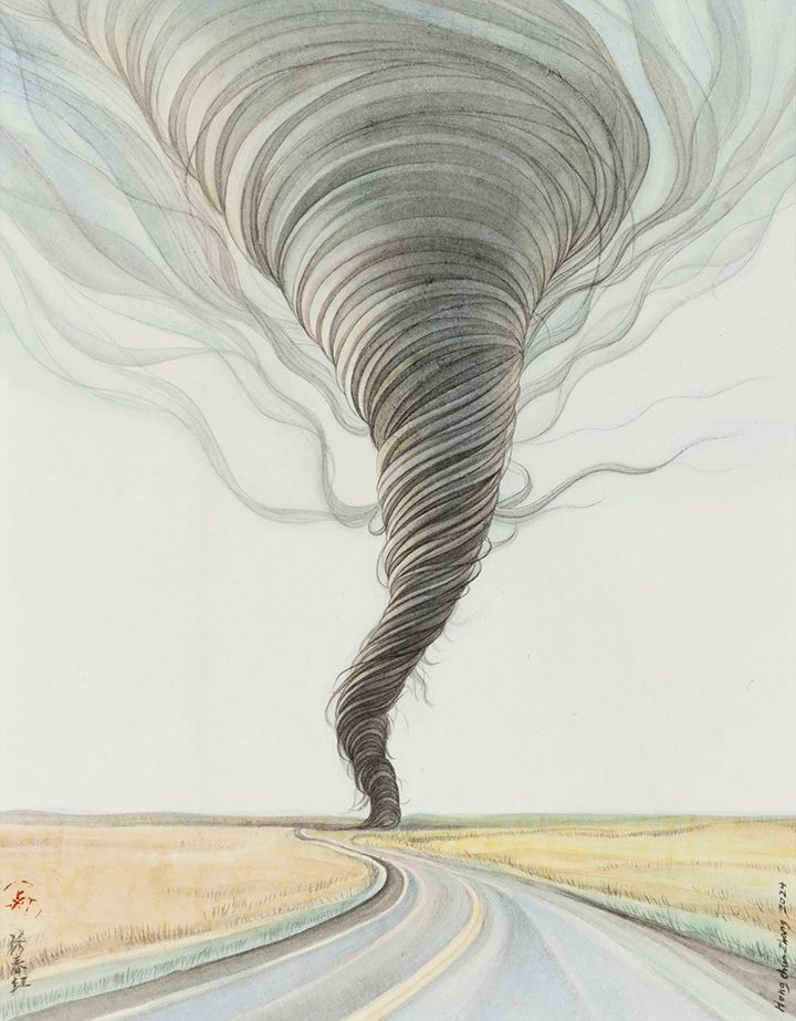 A drawing of a feather with a long tail on a white background