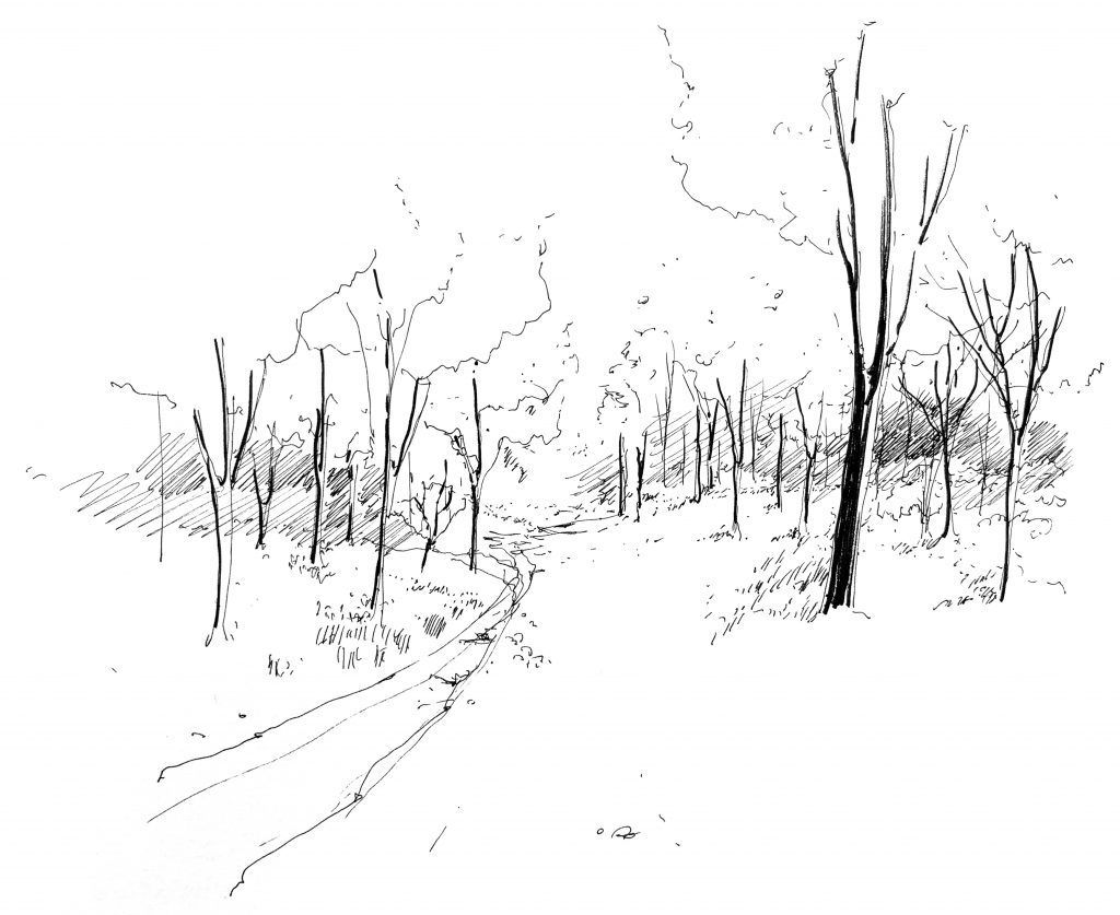 Winter landscape of a snowy path through bare trees.