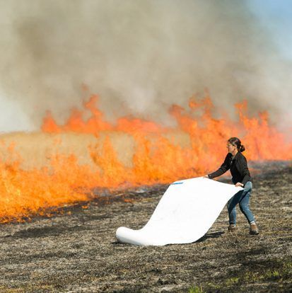 Woman using a white sheet to try to extinguish a wildfire in a field of flames.
