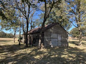 Old wooden shed surrounded by trees in a grassy field on a sunny day.